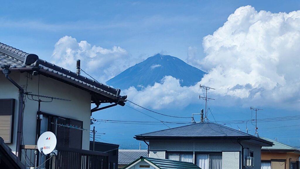 引き渡しでした。